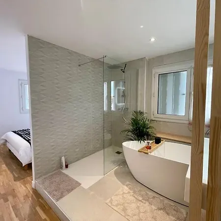 Magnifique 115m2 - 3 - Parking Gratuit Apartman Toulouse